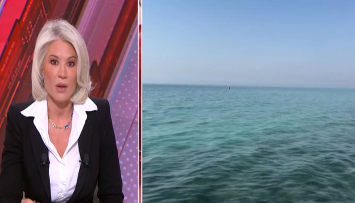 —اسکرین گریب