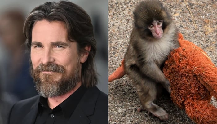 Christian Bale makes surprising comment about viral baby monkey Punch