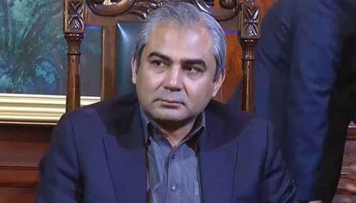 وفاقی وزیر داخلہ محسن نقوی—فائل فوٹو