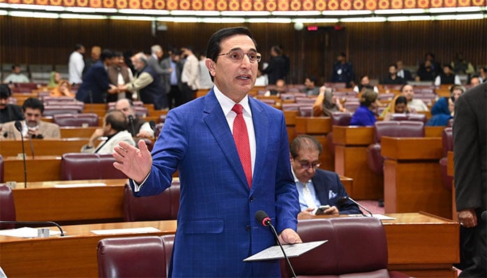 بیرسٹر گوہر : فوٹو فیس بک/ قومی اسمبلی