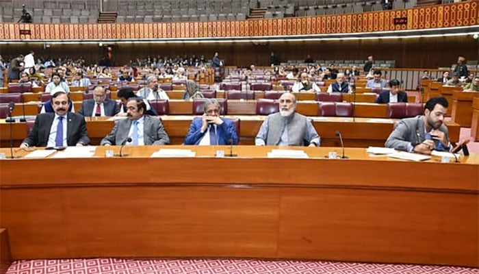 فوٹو: فیس بک قومی اسمبلی