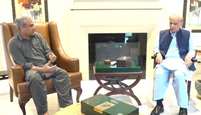 اسکرین گرایب