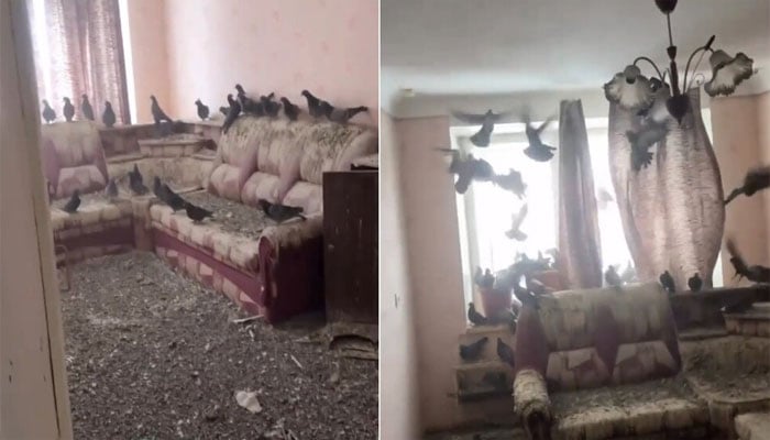 تصویر سوشل میڈیا۔