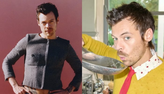 Harry Styles pens heartfelt note as Kiss All the Time overwhelms fans