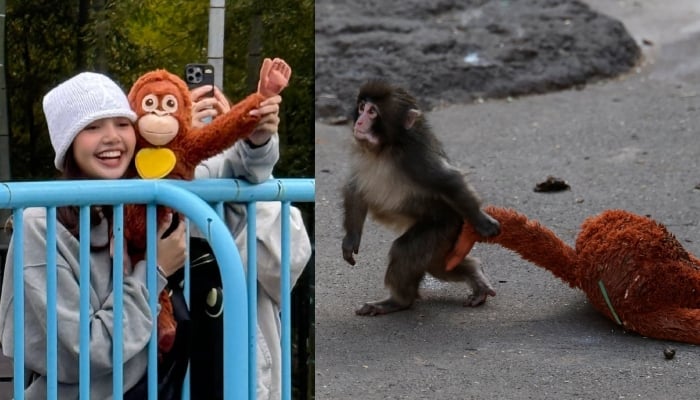 BLACKPINKs Lisa visits internet-adored monkey Punch in Japan