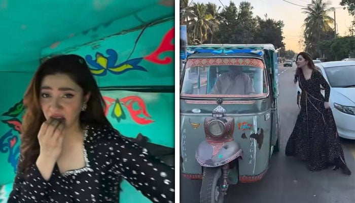 — اسکرین گریبز