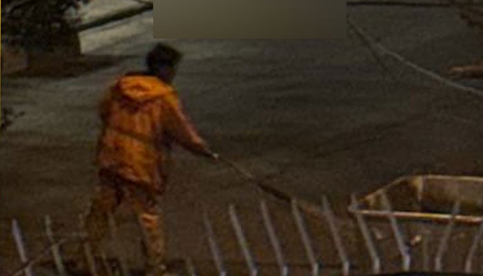 — تصویر بشکریہ سوشل میڈیا