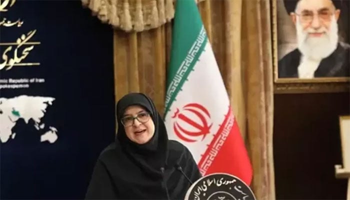 فاطمہ مہاجرانی(ترجمان حکومت ایران) فائل فوٹو۔