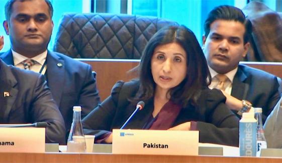 پاکستان نے افغانستان میں موجود دہشتگرد گروہوں کیخلاف کارروائی کی، ممتاز زہرہ بلوچ