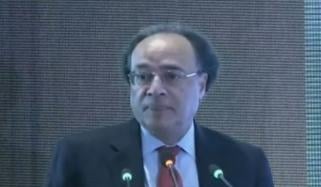 ملک کی معیشت کو مستحکم کرنے کے اقدامات کیے جا رہے ہیں، وزیر خزانہ