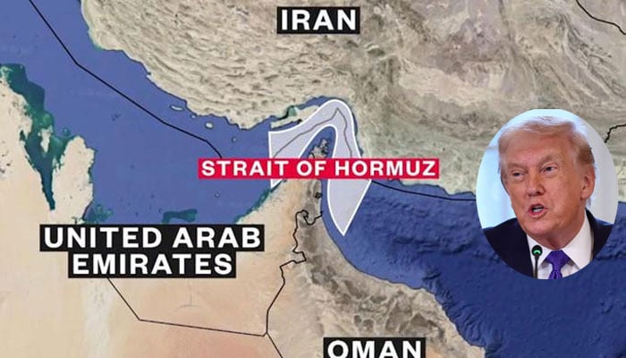 ایسی کوئی رپورٹ نہیں کہ ایران نے ہرمز میں بارودی سرنگیں بچھائیں، امریکی صدر