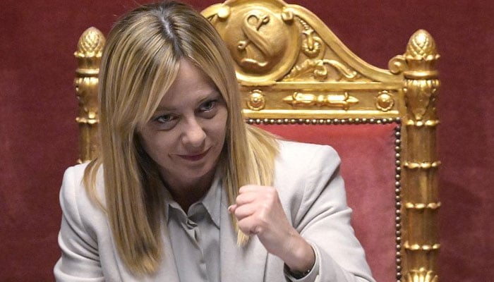 جارجیا میلونی— فائل فوٹو