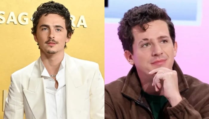 Timothée Chalamet slammed by Charlie Puth after opera & ballet remarks