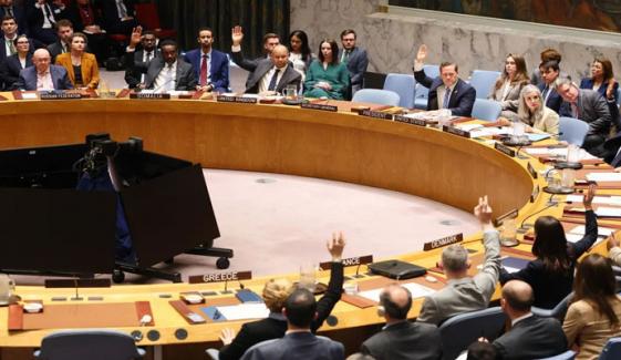 سلامتی کونسل میں روس کی جنگ بندی قرارداد منظور نہ ہوسکی