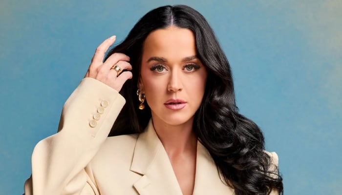 Katy Perry breaks silence after facing backlash for snubbing a needy fan