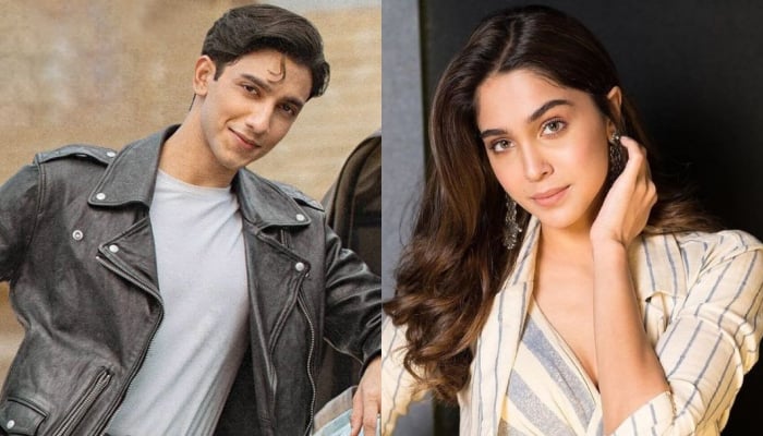 Vedang Raina, Sharvari dating? Main Vaapas Aaunga teaser sparks romance rumours