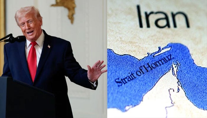 آبنائے ہرمز کھلوانے کے لیے ٹرمپ کی اپیل پر دنیا خاموش