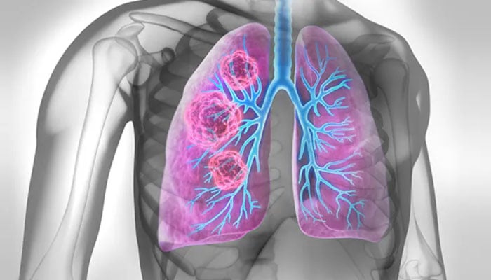 ---فائل فوٹو