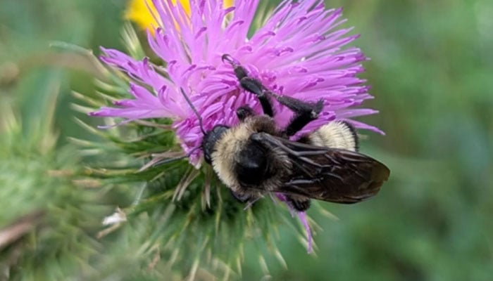 — فائل فوٹو