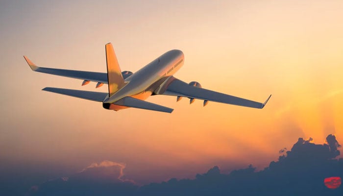 لاہور سے دبئی جانے والی اماراتی ایئرلائن کی پرواز راستے سے واپس آگئی