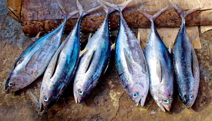 پوٹاشیم فالج کے خطرے کو 20، امراض قلب کو 24 فیصد تک کم کرسکتا ہے، ماہرین