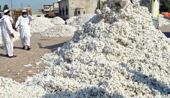 مشرقِ وسطیٰ جنگ: روئی کی قیمت میں 500 روپے فی من اضافہ