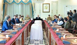 حکومت تیل کی متعین قیمت پر فروخت کی مسلسل نگرانی کر رہی ہے، وزیراعظم شہباز شریف