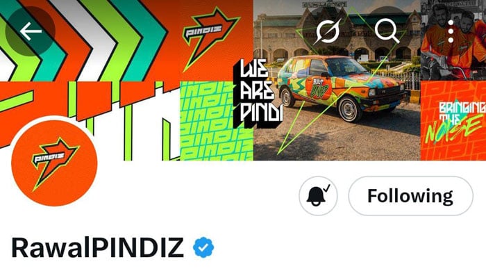 ٹیم ’پنڈیز‘ نے سوشل میڈیا اکاؤنٹس پر نام ’راولپنڈیز‘ کردیا