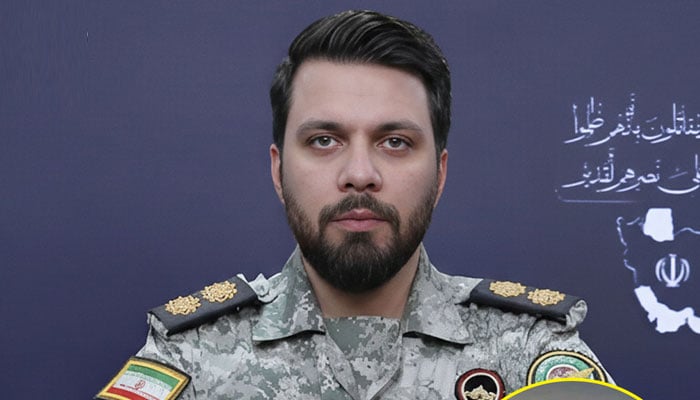 ابراہیم ذوالفقاری کا کہنا—فائل فوٹو