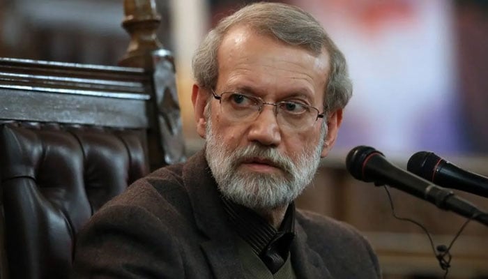 شہید علی لاریجانی کون تھے؟