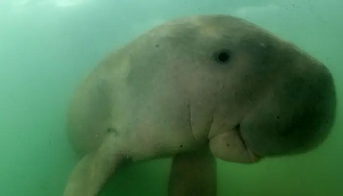 فوٹو بشکریہ اے ایف پی