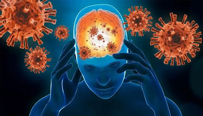 لندن: گردن توڑ بخار کی وباء پھیلنے کے بعد ہیلتھ الرٹ جاری