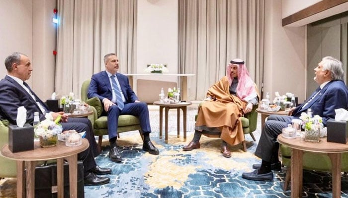 فوٹو: سوشل مڈیا۔وزارت خارجہ پاکستان