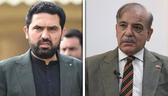 کولاج فوٹو: فائل