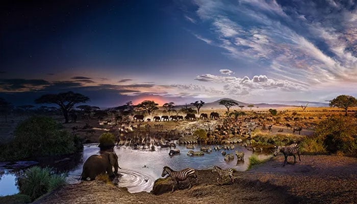 ---فائل فوٹو