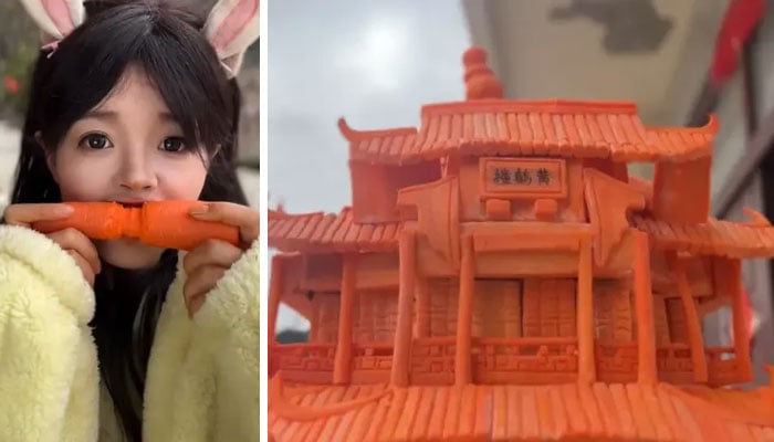 فوٹو: سوشل میڈیا