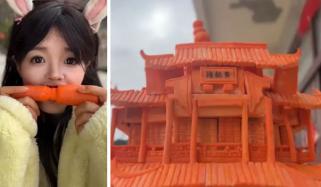  ’’انسانی تھری ڈی پرنٹر‘‘ منفرد صلاحیت کی حامل چینی خاتون