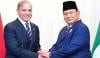 وزیراعظم کی انڈونیشیی صدر سے ٹیلیفونک گفتگو، عید کی مبارکباد پیش، خلیجی صورتحال پر تبادلہ خیال