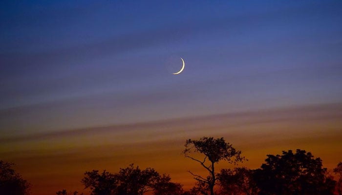 — فائل فوٹو