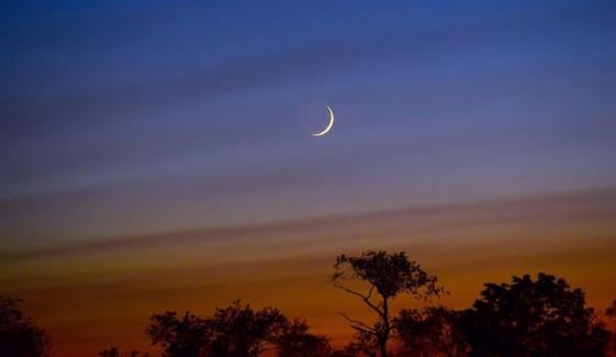 عید یا غلطی؟ برطانیہ میں ایک ہی دن پر دو متضاد فتوے، عوام شدید کنفیوژن کا شکار