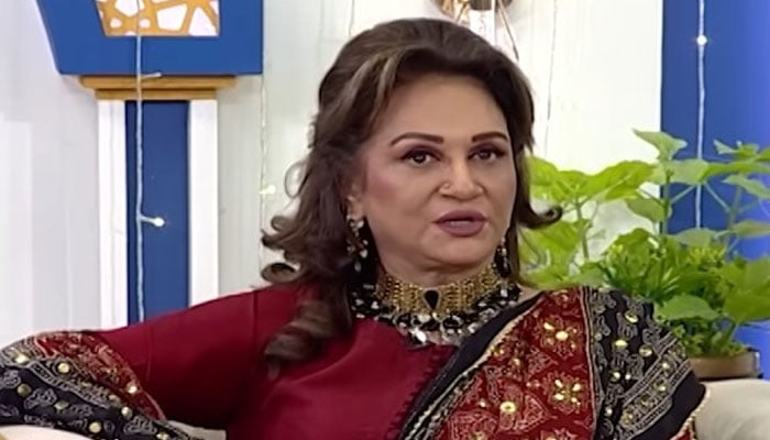 اداکارہ بشریٰ انصاری — فائل فوٹو