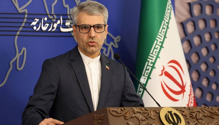 پڑوسی ممالک بشمول پاکستان کے وزرائے خارجہ سے ایرانی وزیر خارجہ نے ملاقاتیں کیں، اسماعیل بقائی - فوٹو: فائل