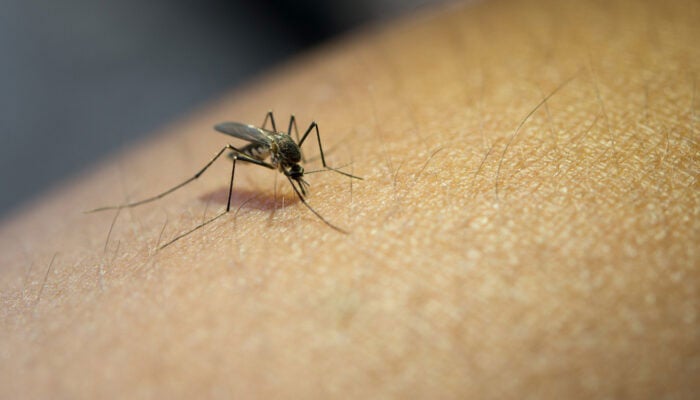 — فائل فوٹو