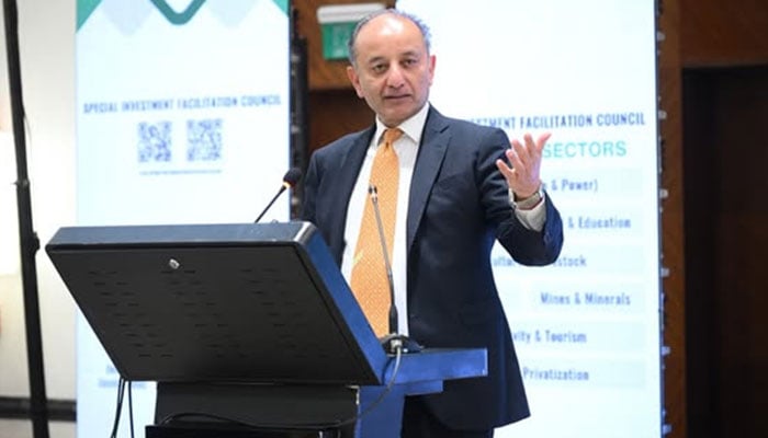 وفاقی وزیر مصدق ملک---فائل فوٹو