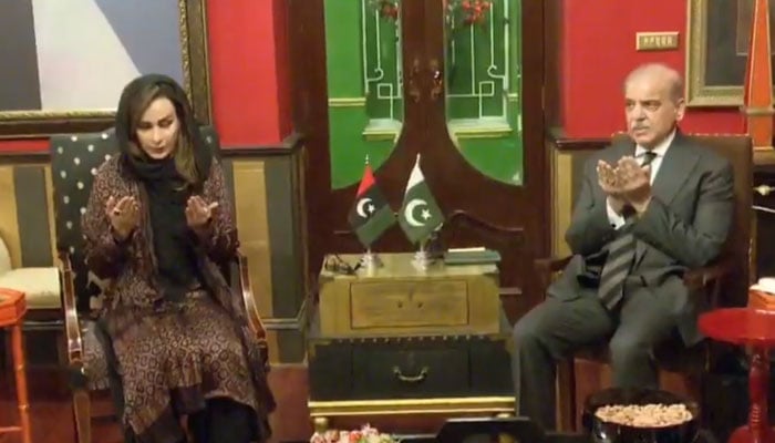 فوٹو: اسکرین گریب