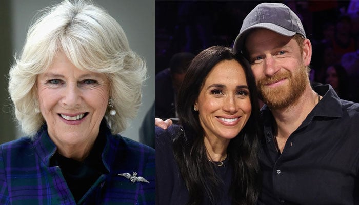 Queen Camilla announces new TV project amid Harry, Meghans Netflix surprise