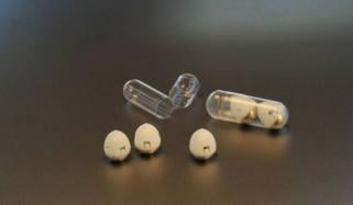 انسولین کی گولیاں جلد انجیکشن کا متبادل بن سکتی ہیں، سائنس دانوں کے حوصلہ افزا نتائج