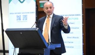 نوجوان نسل کی شمولیت سے ملک میں گرین انقلاب لایا جائے گا: مصدق ملک