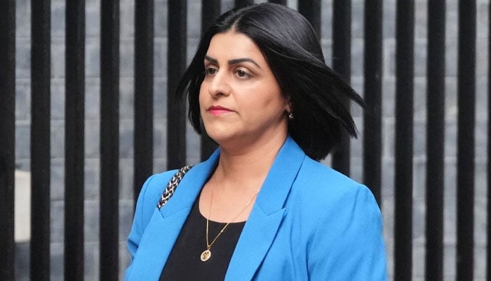 شبانہ محمود— فائل فوٹو