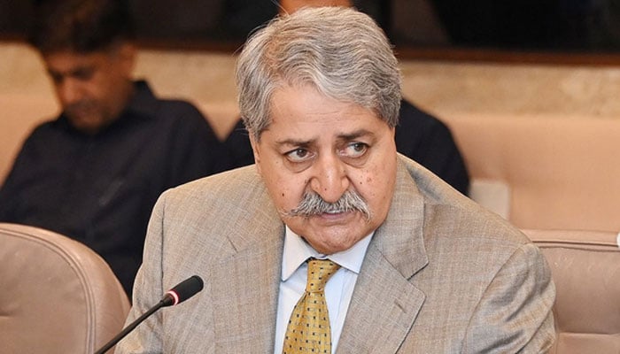 نوید قمر، رہنما پاکستان پیپلز پارٹی۔فوٹو: فائل